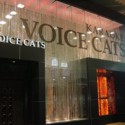 VOICE CATS RiX